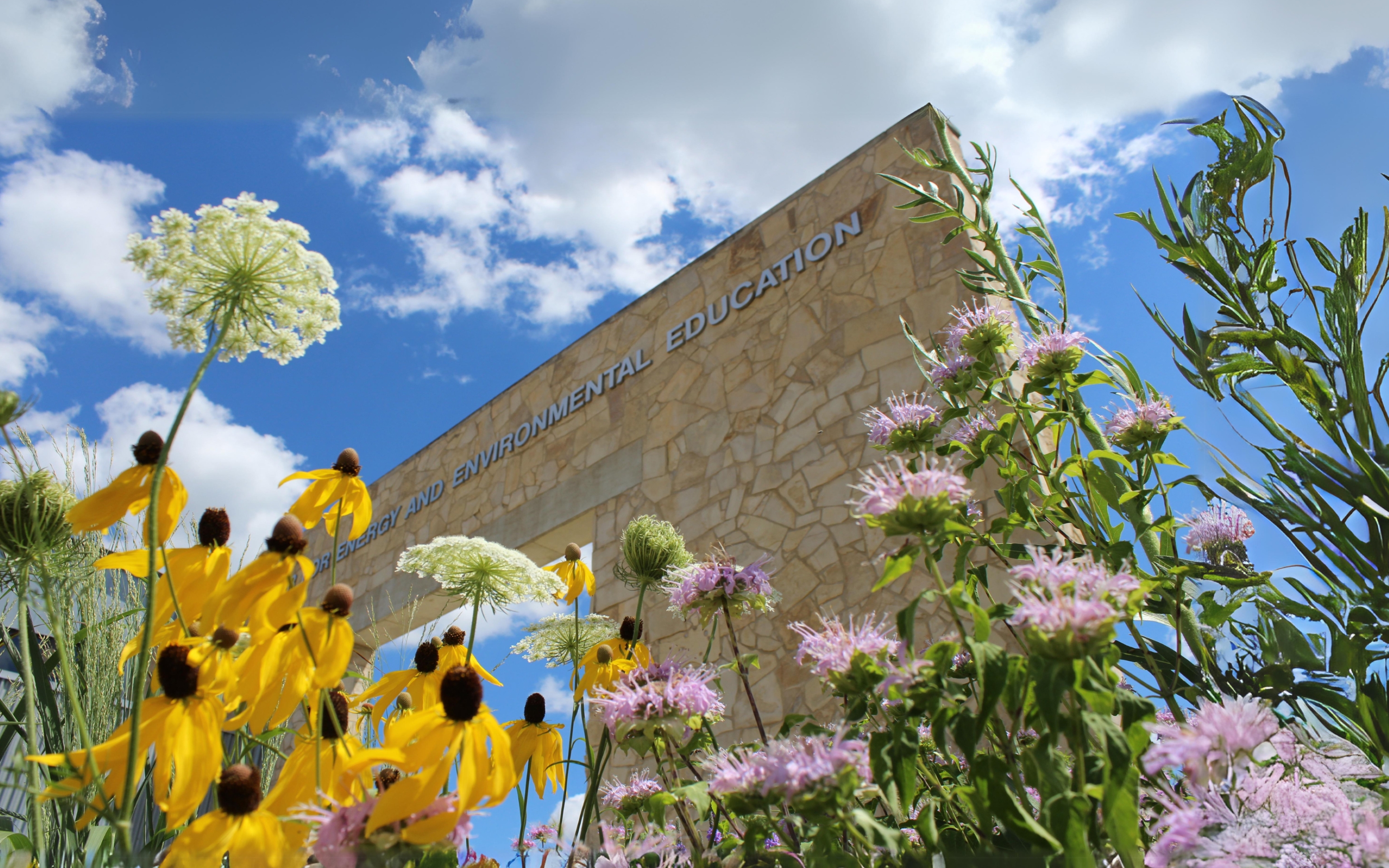 Exterior image of CEEE building with flowers in the foreground