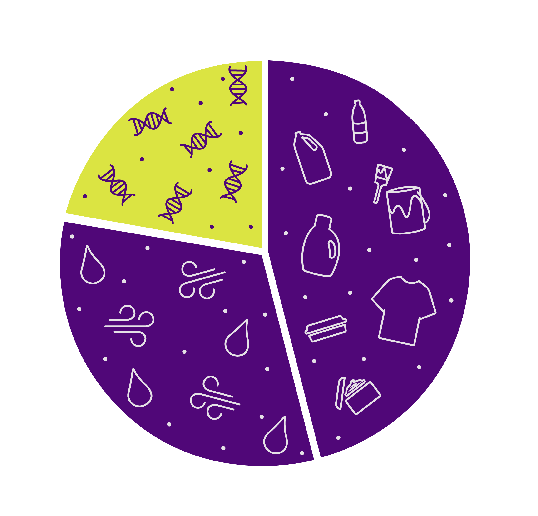 Pie Chart:  Genetics – what you’re born with Environment – what surrounds you Lifestyle Choices – what you can change.
