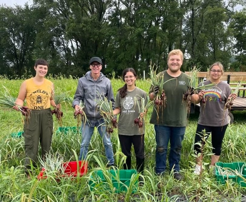 VISTA members harvesting produce