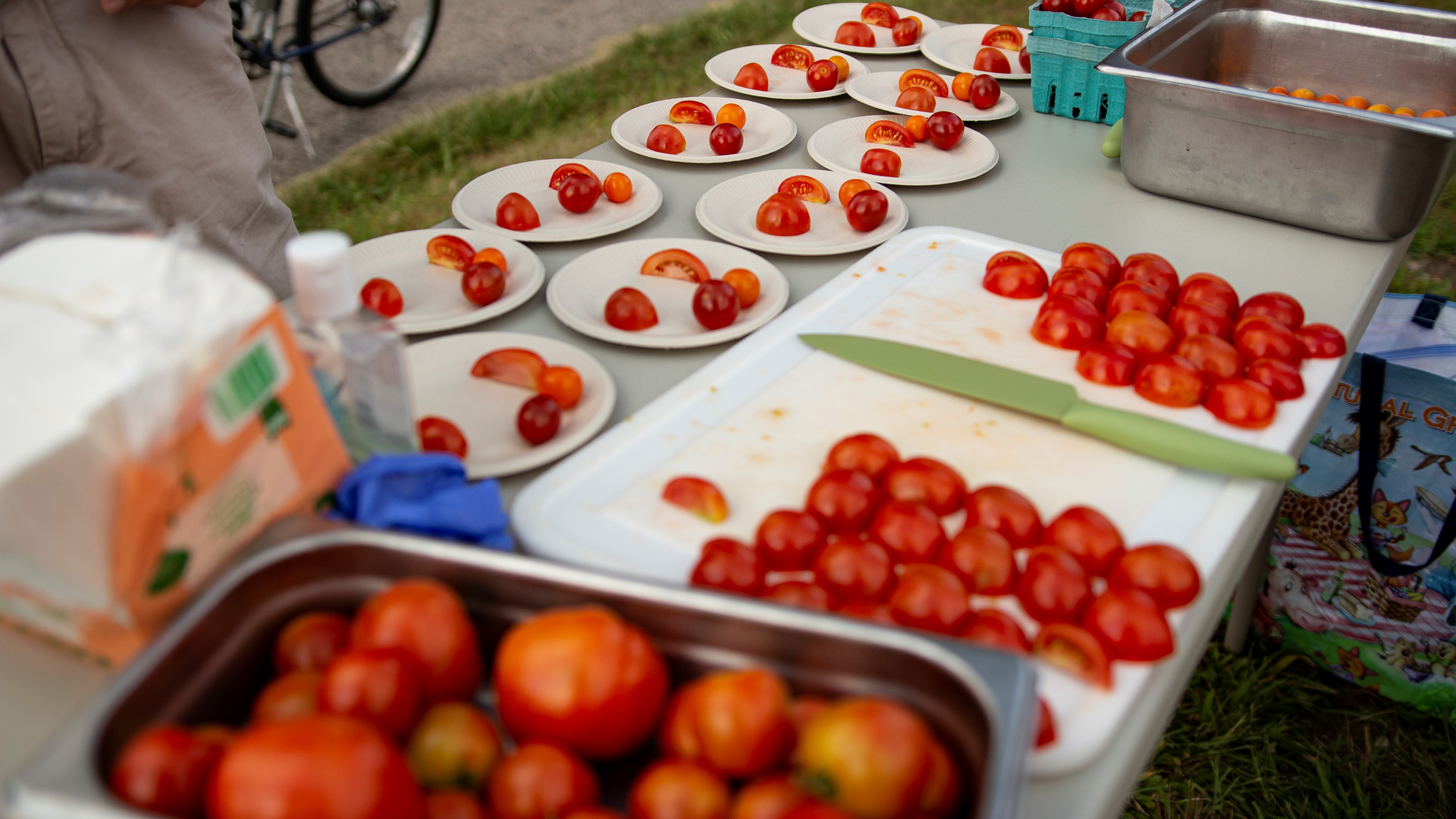 sampling table of tomatoes, cut up on plates